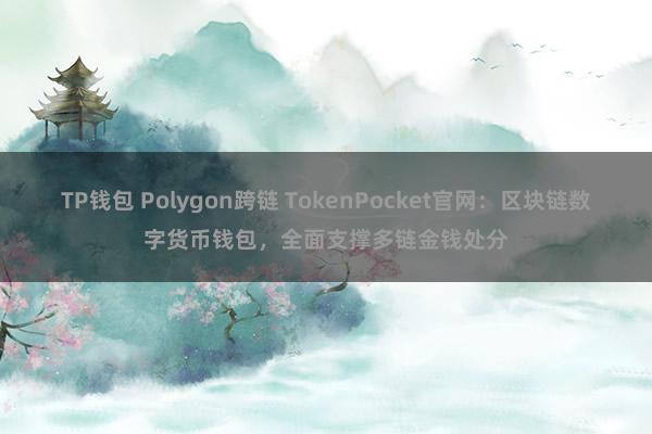 TP钱包 Polygon跨链 TokenPocket官网：区块链数字货币钱包，全面支撑多链金钱处分