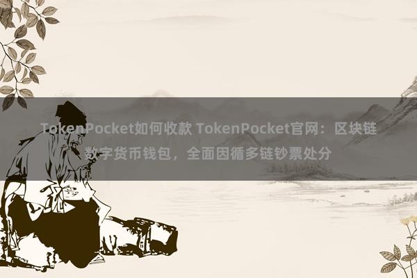 TokenPocket如何收款 TokenPocket官网：区块链数字货币钱包，全面因循多链钞票处分