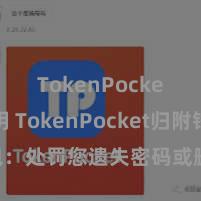 TokenPocket私钥 TokenPocket归附钱包：处罚您遗失密码或删除哄骗的困扰