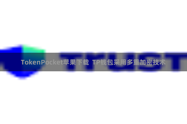 TokenPocket苹果下载  TP钱包采用多重加密技术