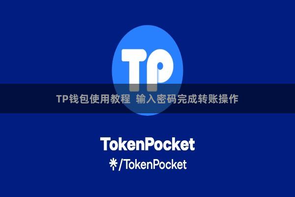 TP钱包使用教程  输入密码完成转账操作