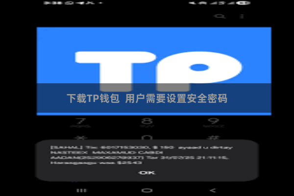 下载TP钱包  用户需要设置安全密码